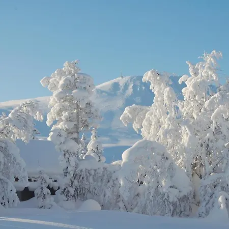Kvitavatn Fjellhytter Holiday home